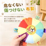 犬用 玩具 おもちゃ フリスビー | BACKYARD FAMILY | 詳細画像6 