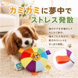 犬用 玩具 おもちゃ フリスビー | BACKYARD FAMILY | 詳細画像7 