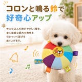 犬用 玩具 おもちゃ フリスビー | BACKYARD FAMILY | 詳細画像8 