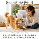 犬 おもちゃ 歯磨き 犬用玩具 | BACKYARD FAMILY | 詳細画像2