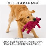 犬 おもちゃ 歯磨き 犬用玩具 | BACKYARD FAMILY | 詳細画像4