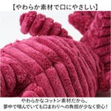 犬 おもちゃ 歯磨き 犬用玩具 | BACKYARD FAMILY | 詳細画像5