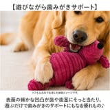犬 おもちゃ 歯磨き 犬用玩具 | BACKYARD FAMILY | 詳細画像6