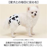 マナーパンツ 犬 | BACKYARD FAMILY | 詳細画像2