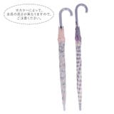 ジュニア耐風骨長傘 55cm | BACKYARD FAMILY | 詳細画像5 