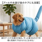 ペット ドライヤー ボックス 犬猫用 ペット 乾燥服 | BACKYARD FAMILY | 詳細画像6