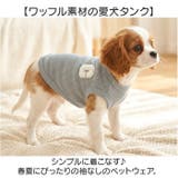 犬服 ペットウェア 可愛い | BACKYARD FAMILY | 詳細画像2 