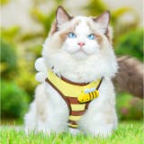 羽付ハーネス 犬 猫 | BACKYARD FAMILY | 詳細画像3