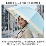 because ビコーズ クリアアンブレラ 長傘 | BACKYARD FAMILY | 詳細画像4