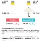 because ビコーズ PU12フレームプロテクト ラージ 長傘 | BACKYARD FAMILY | 詳細画像13