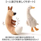 猫おもちゃ 音が鳴る 犬用おもちゃ | BACKYARD FAMILY | 詳細画像2
