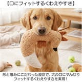 猫おもちゃ 音が鳴る 犬用おもちゃ | BACKYARD FAMILY | 詳細画像4