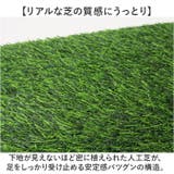 人工芝 ペット用 ペットシート | BACKYARD FAMILY | 詳細画像3 