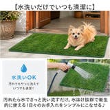 人工芝 ペット用 ペットシート | BACKYARD FAMILY | 詳細画像4 