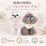 ペット 犬用 術後服 かわいい | BACKYARD FAMILY | 詳細画像2 