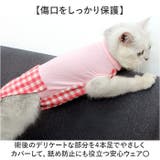 ペット 猫用 術後服 かわいい | BACKYARD FAMILY | 詳細画像4 