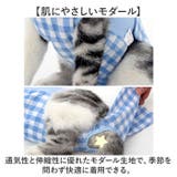 ペット 猫用 術後服 かわいい | BACKYARD FAMILY | 詳細画像6 