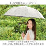 Parasol 58cm UV 日傘 ジャンプ | BACKYARD FAMILY | 詳細画像5