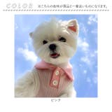 犬服 春 夏 ドッグウェア 袖なし可愛い | BACKYARD FAMILY | 詳細画像12