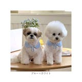 犬服 春 夏 ドッグウェア 袖なし可愛い | BACKYARD FAMILY | 詳細画像13