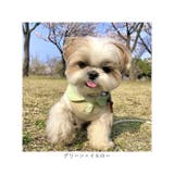 犬服 春 夏 ドッグウェア 袖なし可愛い | BACKYARD FAMILY | 詳細画像14