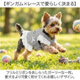 犬服 ハーネス ベスト 背中開き ペットウェア  | BACKYARD FAMILY | 詳細画像3 
