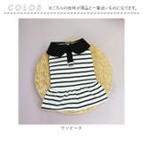 ペット服 ドックウェア ワンピース タンクトップ | BACKYARD FAMILY | 詳細画像12 