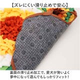 犬おもちゃ 嗅ぎマット ノーズワーク | BACKYARD FAMILY | 詳細画像8 