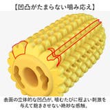 犬用噛むおもちゃ | BACKYARD FAMILY | 詳細画像3 