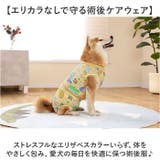 犬 術後服 傷舐め防止 中型犬 大型犬 ストレッチ | BACKYARD FAMILY | 詳細画像2 