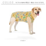 犬 術後服 傷舐め防止 中型犬 大型犬 ストレッチ | BACKYARD FAMILY | 詳細画像13 