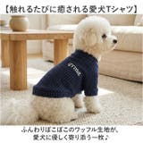 犬服 Tシャツ ドッグウェア カットソー 長袖 | BACKYARD FAMILY | 詳細画像2