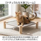 猫 ハンモック ペット 犬 猫用 | BACKYARD FAMILY | 詳細画像5