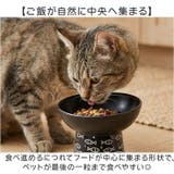 フードボウル ペット用食器 | BACKYARD FAMILY | 詳細画像3 