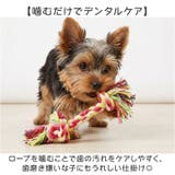 犬 おもちゃ 10個セット | BACKYARD FAMILY | 詳細画像4 