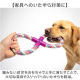 犬 おもちゃ 10個セット | BACKYARD FAMILY | 詳細画像5 