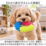 犬 おもちゃ 10個セット | BACKYARD FAMILY | 詳細画像6 
