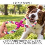 犬 おもちゃ 10個セット | BACKYARD FAMILY | 詳細画像7 