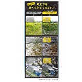 偏光調光サングラス | BACKYARD FAMILY | 詳細画像4
