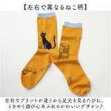 fromF miau コットンクルーソックス | BACKYARD FAMILY | 詳細画像4 