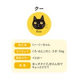 fromF miau コットンクルーソックス | BACKYARD FAMILY | 詳細画像9 