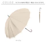 NaturalBasic 16本骨 バイカラー 55cm 手開き | BACKYARD FAMILY | 詳細画像12 