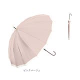 NaturalBasic 16本骨 バイカラー 55cm 手開き | BACKYARD FAMILY | 詳細画像13 