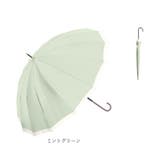 NaturalBasic 16本骨 バイカラー 55cm 手開き | BACKYARD FAMILY | 詳細画像15 