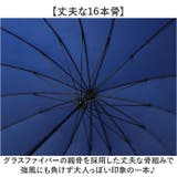 NaturalBasic 16本骨 バイカラー 55cm 手開き | BACKYARD FAMILY | 詳細画像6 