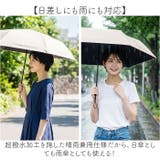 Coolia airia 超軽量 | BACKYARD FAMILY | 詳細画像4