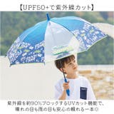 Boys UV 子ども 長傘 55cm | BACKYARD FAMILY | 詳細画像4 