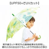 UV 子ども 長傘 50cm | BACKYARD FAMILY | 詳細画像4 