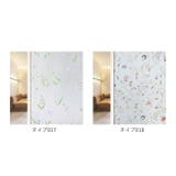 窓用フィルム 目隠しシート ガラスフィルム frostedfilm | BACKYARD FAMILY | 詳細画像19 