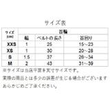 おしゃれ首輪 jy219 | BACKYARD FAMILY | 詳細画像8